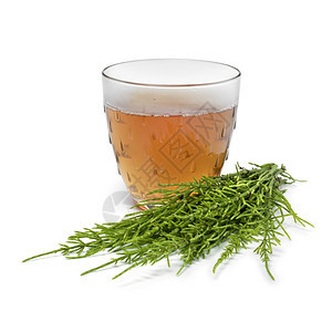 杯子加热田马尾草药茶和新鲜绿树枝图片