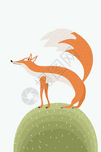 绿色的可爱狐狸矢量插图图片