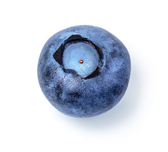蓝莓隔离白底碧滑行道图片