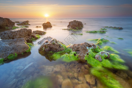 美丽的海景自然构成日落自然的合成水雾石头上的海藻图片