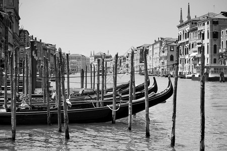 在意大利威尼斯运河上的Gondolas黑色和白的威尼斯风景图片