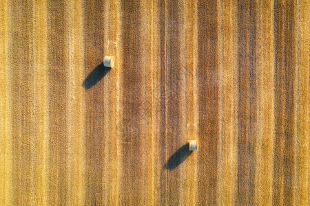夏季日落时干草篮的空中景象干草堆的顶端景象农业收获后田地和干草卷农田稻和地的景观谷物作收获黄麦图片