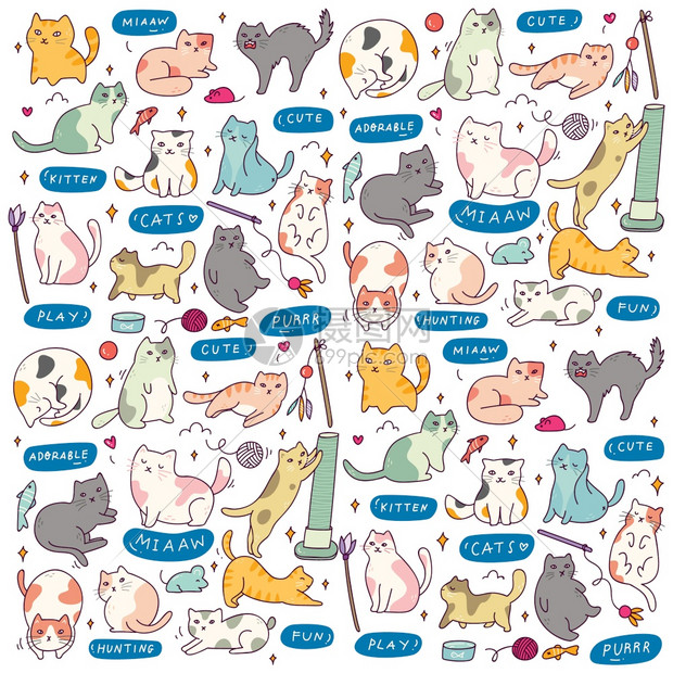 一套有不同姿势的可爱猫咪