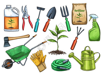 春天植物发芽草图风格的园艺工具矢量插图插画