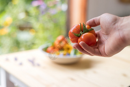 碗里新鲜的多彩蔬菜在自己的花园里养大番茄花和草药图片
