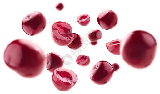 红樱桃莓白色背景图片