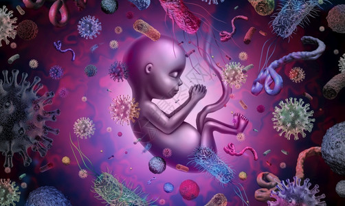 胎儿传染疾病和产妇感是三维的产科和妇问题图片