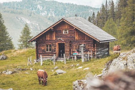 奥地利的山丘小屋阿尔卑斯山脉的自然景观图片