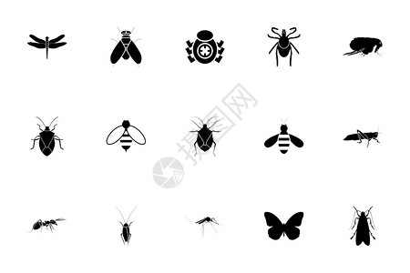 黑白昆虫矢量元素图片
