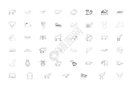 野生动物黑颜色设置大纲样式矢量说明野生动物黑颜色设置大纲样式图像图片