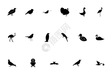 鸟黑色设置的固态风格矢量说明鸟黑色设置的固态风格图像图片