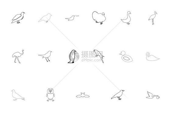 鸟类黑色设置大纲样式矢量说明鸟类黑色设置大纲样式图像图片