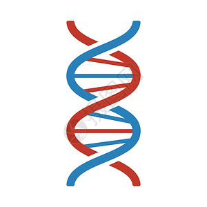 图标DNA平面彩色设计矢量说明图片