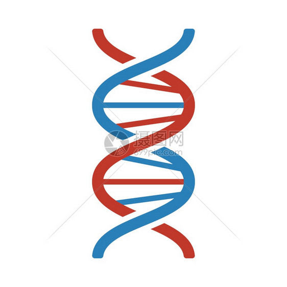 图标DNA平面彩色设计矢量说明图片