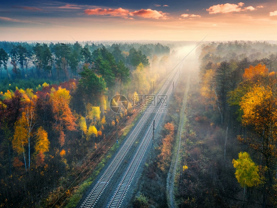 黄昏的日出中秋林美丽的铁路空中景象铁路站的工业风景云的蓝天空橙叶树雾秋季农村铁路的顶端景象图片