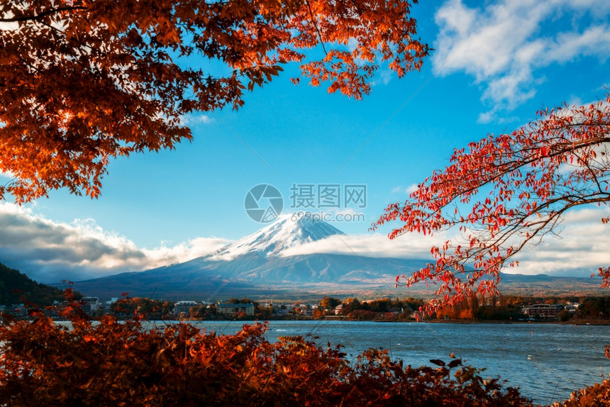 日本富士山的秋天多彩川口子湖是日本最享受富士山景色的地方之一日本秋色中富士山的颜变化高清图片下载 正版图片 摄图网 日本富士山的秋天多彩川口子湖是日本最享受富士山景色的地方之一日本秋色中富士山的颜变化高清图片下载 正版图片 摄图网
