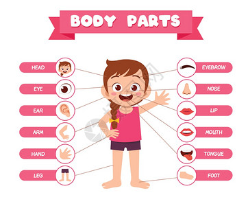 电子竞技女孩快乐可爱的女孩身体部分解剖插画