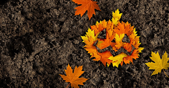 秋天和节日用3D插图风格由季节叶制成的南瓜图片