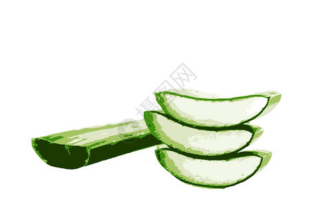 Aloeverera是白底的藻类甲状腺的一种苏养植物为农业和医药用途种植图片