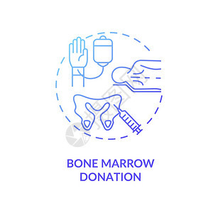 Bone骨髓捐赠概念图标医疗慈善干细胞治疗概念线插图骨组织提取程序矢量孤立大纲RGB颜色绘图骨髓捐赠概念图标图片