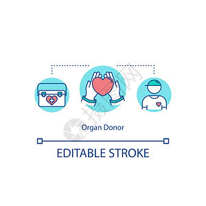 器官捐赠者概念图标心脏移植医疗程序概念细线插图慈善健康基金会人寿保险病媒孤立大纲RGB彩色绘图可编辑中风图片