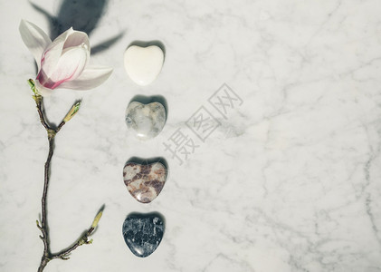 白大理石背景上的灰宝和鲜花图片