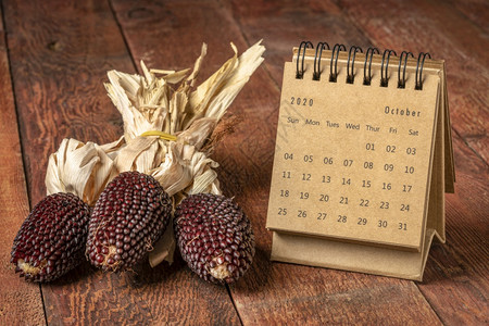 1月日历图片 1月日历素材 1月日历高清图片 摄图网图片下载 1月日历图片 1月日历素材 1月日历高清图片 摄图网图片下载