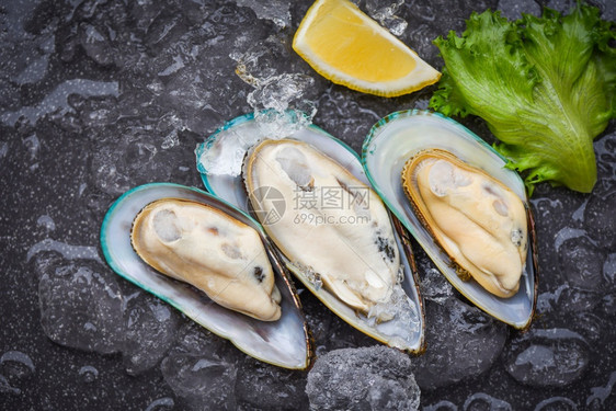 冰上新鲜的贝壳加柠檬和煮熟食品的生菜海产贝图片