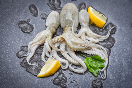 烤干鱿鱼冰上的生鱿鱼和黑盘海鲜市场柠檬新鱿鱼章或熟食沙拉餐厅的鱼背景