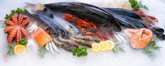 对各种新鲜奢侈海的景象龙虾鲑鱼竹章和扇贝的观察以海鲜市场含冰烟的背景图片