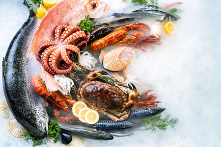 各种新鲜奢侈海产食品的顶端景象是龙虾鲑鱼竹鳄龙虾章的红斑马扇贝和石蟹其冰底背景与海鲜市场中的冰烟图片