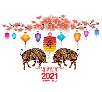 樱花背景和灯笼孤立的白色背景中文新年牛译本国新年快乐牛图片