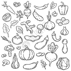 面条蔬菜手画不同的胡萝卜洋葱和黄瓜姜蘑菇和大蒜卷心菜番茄蔬食物矢量套装卷心菜和茄子黄瓜胡椒插图背景图片