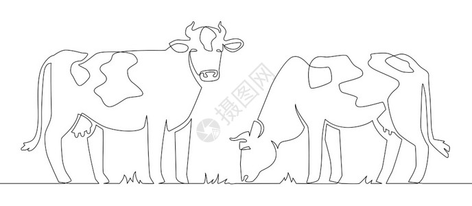黑猪养殖场插画