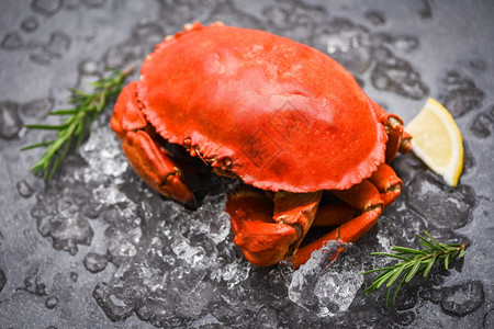 海食贝壳鱼蒸红色螃蟹或煮石头新鲜冰上配有柠檬迷迭香图片
