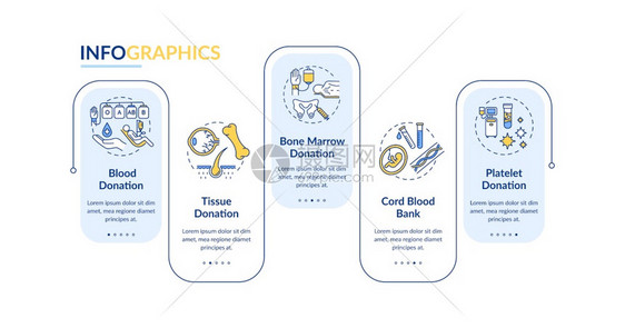器官捐赠矢量信息模板医疗慈善移植演示设计元素五步数据可视化流程图线标的工作流程布局图片