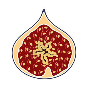 卡通无花果矢量图标图片