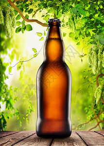 棕色瓶子和啤酒在跳的底图片