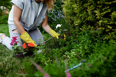 女园丁照顾户外植物园艺爱好花卉家生活方式和休闲图片素材