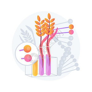 转基因植物抽象概念矢量说明转基因作物植生技术农业增加新特征gmo农耕转基因抽象比喻转基因植物抽象概念说明转基因植物图片