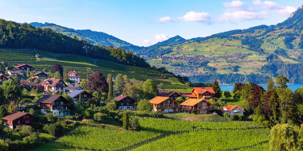 瑞士伯尔尼州斯皮兹伯尔尼通湖沿岸的Spiez村高清图片