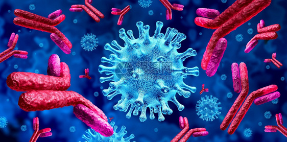 抗体对免疫系统和Immunoglobulin科学概念即3D制成的抗体攻击传染细胞和原体图片
