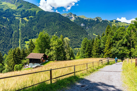 瑞士伯尔尼斯奥兰Lauterbrunnen山村附近的孤独房屋图片
