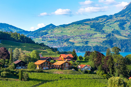 瑞士伯尔尼州斯皮兹伯尔尼通湖沿岸的Spiez村图片