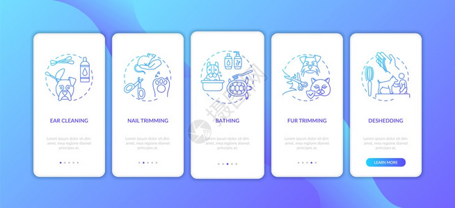 动物治疗建议通过5步图形指示带有RGB彩色插图的UI矢量模板图片