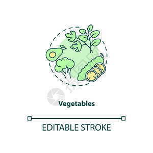 蔬菜概念图标健康的食品有机成分天然食品蔬菜饮成分植物细线插图矢量孤立大纲RGB彩色绘图可编辑中风图片