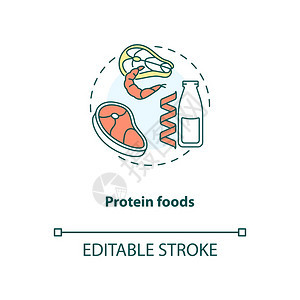 蛋白质食品概念图标有机肉食天然品蔬菜饮成分细线插图矢量孤立大纲RGB彩色绘图可编辑的中风图片