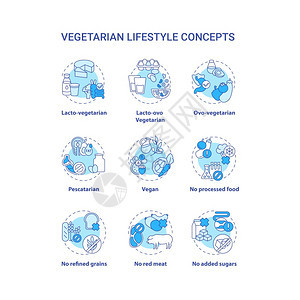 蔬菜生活方式概念图标图片