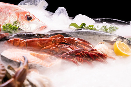 各种新鲜奢侈海的侧面观点LobsterSnapperCrayfishseaBassprawn章鱼在冰底背景上黑海鲜市场有冰烟图片