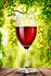 葡萄园背景下的玻璃和瓶装红酒图片